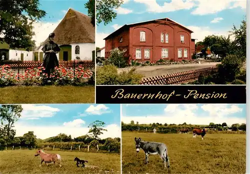 AK / Ansichtskarte  Huje_Itzehohe Bauernhof Pension Pferde Esel Kuehe 