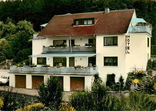 AK / Ansichtskarte  Frankenberg__Eder Hotel Schwedenstein Pension 