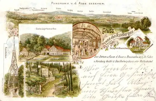 AK / Ansichtskarte 73873152 Asse_Liege Panorama Blick von den Assebergen Gast- und Logierhaus Burgruine Aussichtsturm Foersterei Litho Asse_Liege