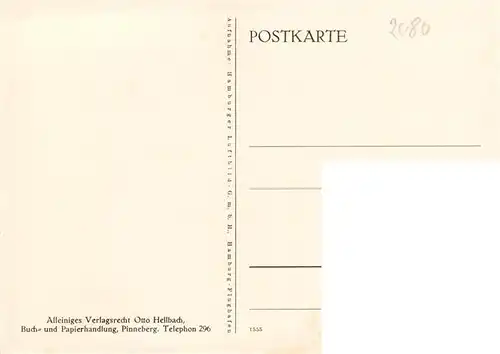 AK / Ansichtskarte  Pinneberg Panorama Kupfertiefdruck Pinneberg