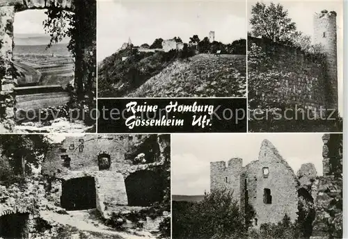 AK / Ansichtskarte  Goessenheim Ruine Homburg Teilansichten Goessenheim