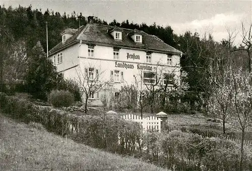 AK / Ansichtskarte  Bad_Koenig_Odenwald Pension Landhaus Karoline Bad_Koenig_Odenwald