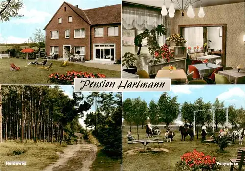 AK / Ansichtskarte  Hardensetten_Bad_Laer Pension Hartmann Heideweg Ponyreiten 