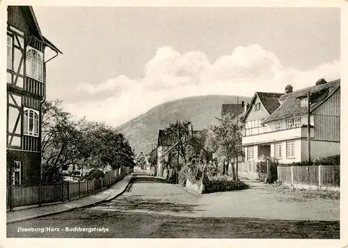 AK / Ansichtskarte  Ilsenburg_Harz Buchbergstrasse Ilsenburg Harz