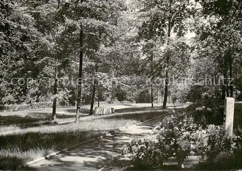 AK / Ansichtskarte  Roedental Waldfriedhof Roedental