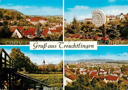 AK / Ansichtskarte  Treuchtlingen Panorama Versteinerung Treuchtlingen