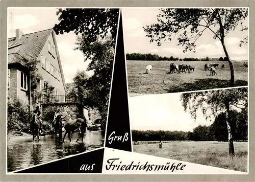 AK / Ansichtskarte 73873939 Knesebeck_Wittingen Pony-Gestuet und Pension Friedrichsmuehle Pferdekoppel Landschaftspanorama 