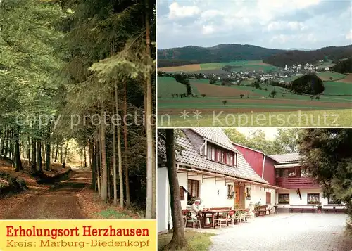 AK / Ansichtskarte 73873974 Herzhausen_Gladenbach Waldweg Panorama Cafe Pension Forsthaus Herzhausen_Gladenbach