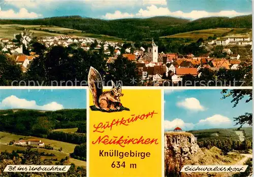 AK / Ansichtskarte  Neukirchen_Knuellgebirge Panorama Urbachtal Eichwaldskopf Neukirchen Knuellgebirge