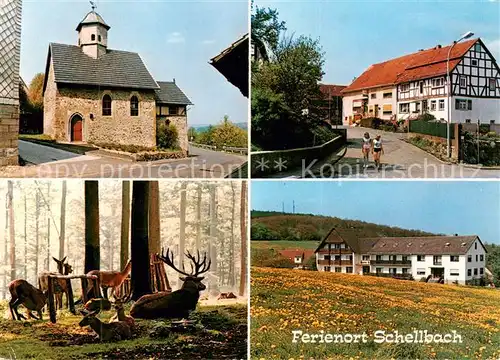 AK / Ansichtskarte 73874001 Schellbach_Knuellwald Kapelle Fachwerkhaus Wildfuetterung Panorama Schellbach Knuellwald