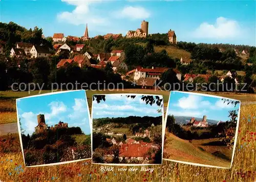 AK / Ansichtskarte  Burgthann Panorama Blick von der Burg Burgthann