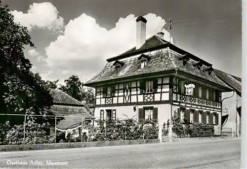 AK / Ansichtskarte  Mammern Gasthaus Adler Mammern