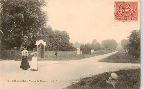 AK / Ansichtskarte  Brevannes_94_Val-de-Marne Avenue de Clarmont 