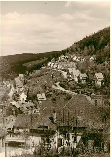 AK / Ansichtskarte  Triberg Panorama Triberg