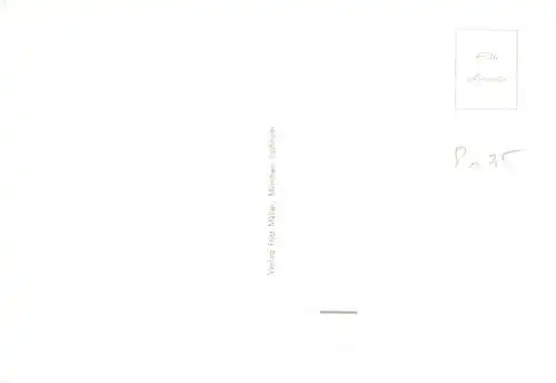 AK / Ansichtskarte  Gauting Panorama Gauting