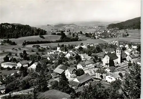 AK / Ansichtskarte  Bichelsee Fliegeraufnahme Bichelsee