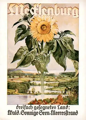 AK / Ansichtskarte  Rostock Mecklenburg Wald Sonnige Seen Meeresstrand Landschaftspanorama Sonnenblume Kuenstlerkarte