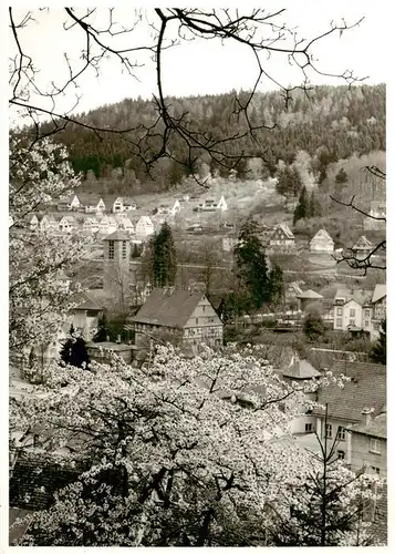 AK / Ansichtskarte  Triberg Teilansicht Ort im Schwarzwald Baumbluete Triberg