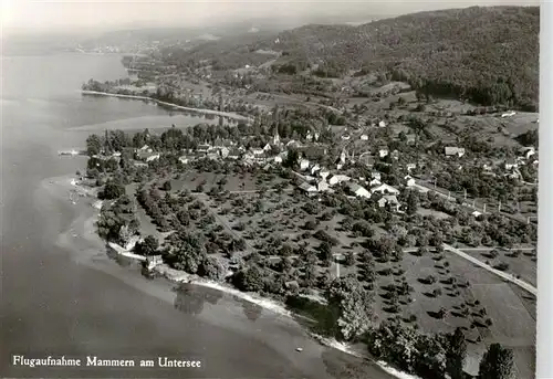 AK / Ansichtskarte  Mammern_Untersee Fliegeraufnahme 