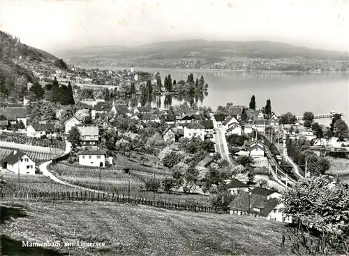 AK / Ansichtskarte  Mannenbach-Salenstein_TG am Untersee 