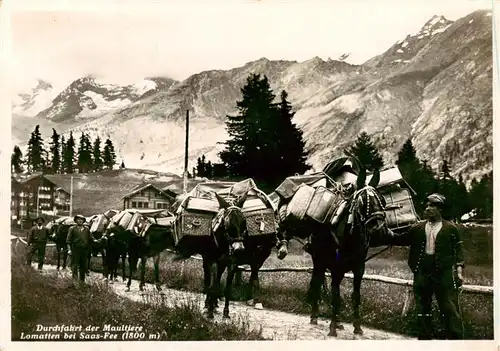 AK / Ansichtskarte  Saas-Fee_VS Durchgang der Maultiere Lomatten 