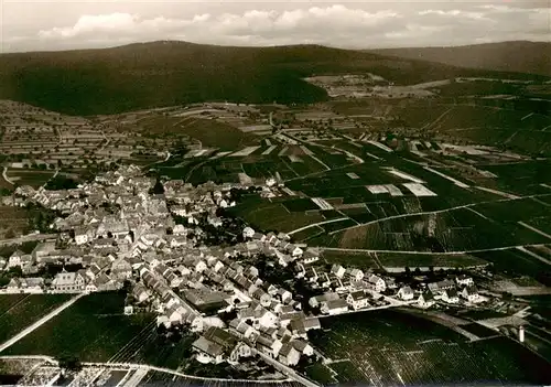 AK / Ansichtskarte  Hallgarten_Rheingau Fliegeraufnahme Hallgarten Rheingau