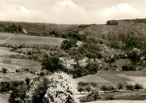 AK / Ansichtskarte  Hoellerbach Panorama Naturpark Odenwald Hoellerbach