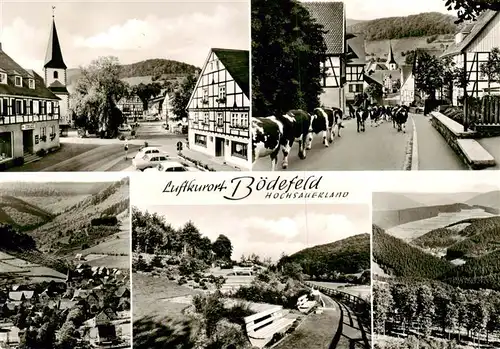 AK / Ansichtskarte  Boedefeld Teilansichten Luftkurort Damenkapelle Viehtrieb Landschaftspanorama Boedefeld