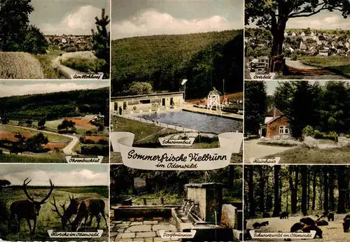 AK / Ansichtskarte 73875078 Vielbrunn Landschaftspanorama Hohberg Hirsche Schwimmbad Dorfbrunnen Ortsbild Hainhaus Schwarzwild Odenwald Vielbrunn