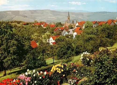 AK / Ansichtskarte  Rothenberg_Odenwald Panorama Erholungsort im Naturpark Odenwald Rothenberg Odenwald