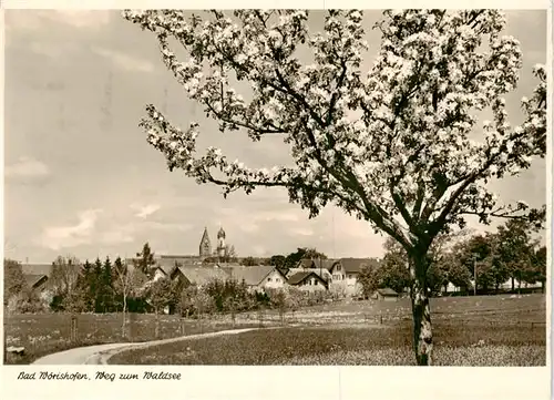 AK / Ansichtskarte  Bad_Woerishofen Weg zum Waldsee Baumbluete Bad_Woerishofen