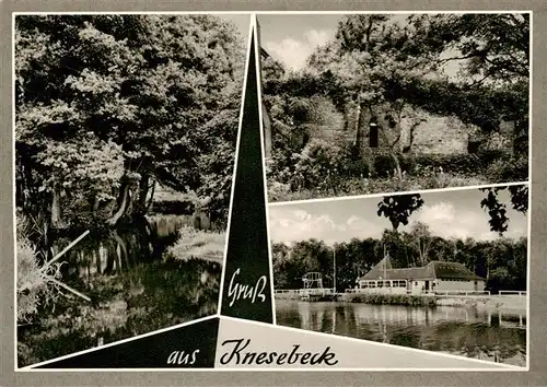 AK / Ansichtskarte 73875235 Knesebeck_Wittingen Telansichten Ruine 