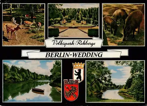 AK / Ansichtskarte 73875241 Wedding_Berlin Volkspark Rehberge Tiergehege Teilansichten 