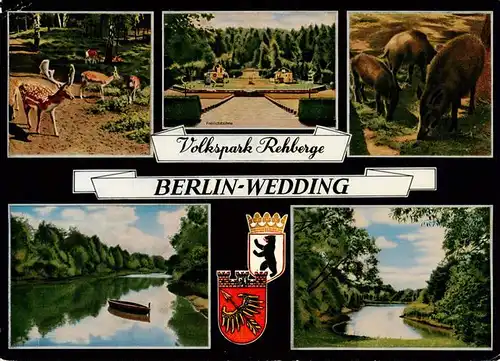 AK / Ansichtskarte  Wedding_Berlin Volkspark Rehberge Tiergehege Teilansichten 