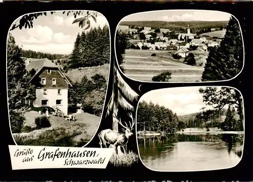AK / Ansichtskarte 73875266 Grafenhausen_Schwarzwald Haus Tannenmuehle Ortsansicht Weiher Grafenhausen Schwarzwald