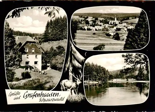 AK / Ansichtskarte  Grafenhausen_Schwarzwald Haus Tannenmuehle Ortsansicht Weiher Grafenhausen Schwarzwald