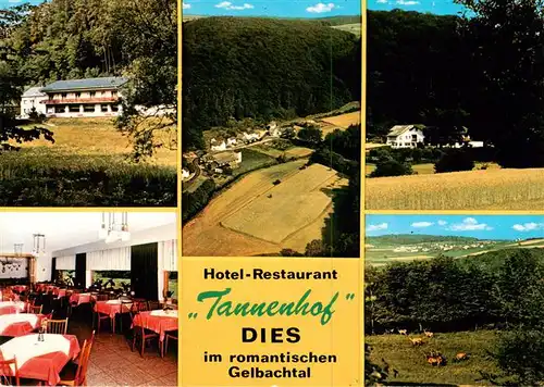 AK / Ansichtskarte  Dies Hotel Restaurant Tannenhof Gaststube Fliegeraufnahme Wildgehege Dies