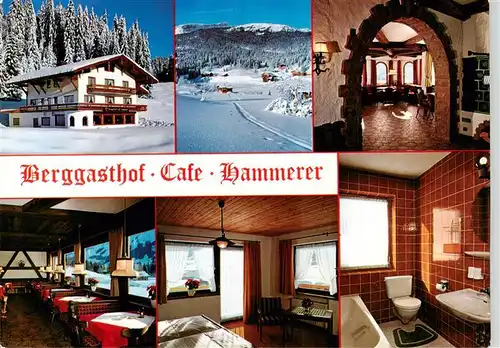 AK / Ansichtskarte 73875569 Hirschegg_Kleinwalsertal_Vorarlberg_AT Berggasthof Cafe Hammerer Gastraeume Zimmer Bad Panorama 