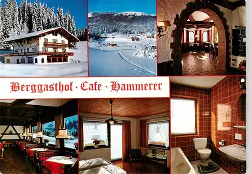 AK / Ansichtskarte  Hirschegg_Kleinwalsertal_Vorarlberg_AT Berggasthof Cafe Hammerer Gastraeume Zimmer Bad Panorama 