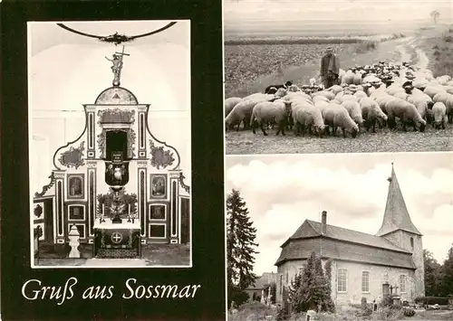 AK / Ansichtskarte  Sossmar Schafherde Kirche Altar Sossmar