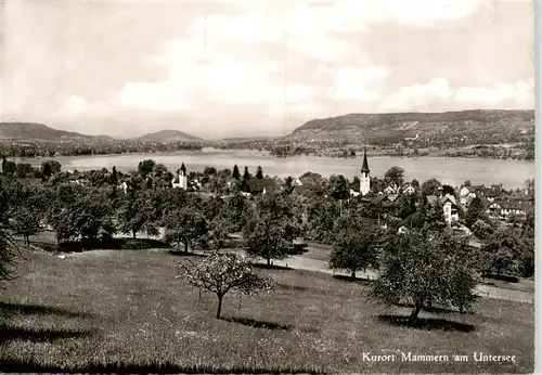 AK / Ansichtskarte  Mammern_Untersee Panorama 