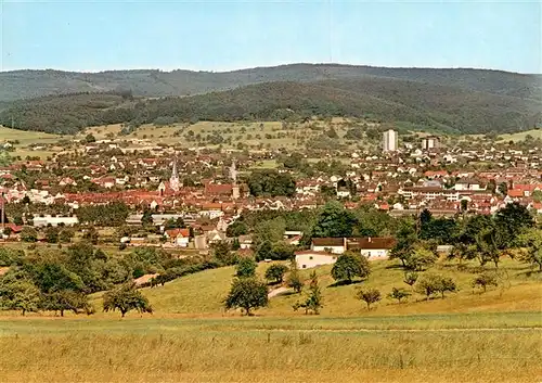 AK / Ansichtskarte  Michelstadt Panorama Michelstadt