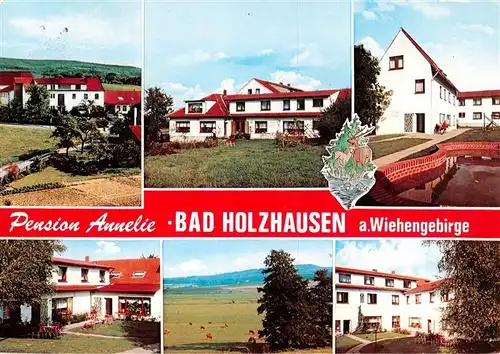 AK / Ansichtskarte 73875836 Bad_Holzhausen_Luebbecke_Preussisch_Oldendorf_NRW Pension Annelie Teilansichten Panorama 