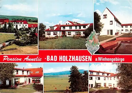 AK / Ansichtskarte 73875872 Bad_Holzhausen_Luebbecke_Preussisch_Oldendorf_NRW Pension Annelie Landschaftspanorama 