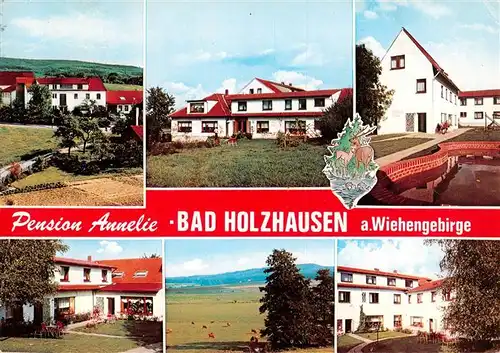 AK / Ansichtskarte  Bad_Holzhausen_Luebbecke_Preussisch_Oldendorf_NRW Pension Annelie Landschaftspanorama 