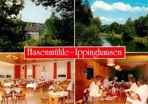 AK / Ansichtskarte 73875902 Ippinghausen Gasthaus Hasenmuehle Restaurant Partie am See Ippinghausen