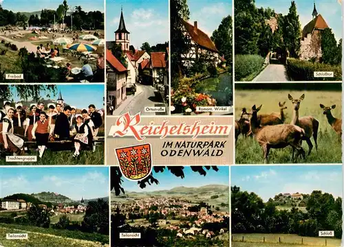 AK / Ansichtskarte  Reichelsheim_Odenwald Freibad Trachtengruppe Teilansichten Ortsstrasse Romantischer Winkel Schlosstor Rehwild Schloss Reichelsheim Odenwald