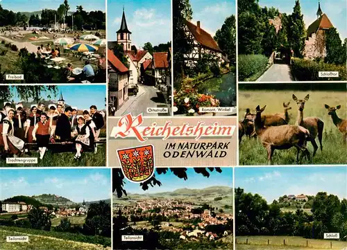 AK / Ansichtskarte 73876236 Reichelsheim_Odenwald Freibad Trachtengruppe Teilansichten Ortsstrasse Romantischer Winkel Schlosstor Rehwild Schloss Reichelsheim Odenwald