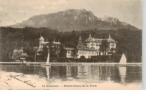 AK / Ansichtskarte  Le_Bouveret_VS Hôtels Casino et la Forêt 