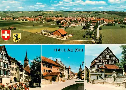 AK / Ansichtskarte  Hallau_SH Panorama Ortspartien 